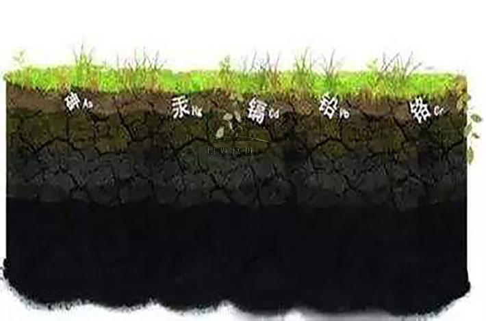 土壤重金属污染