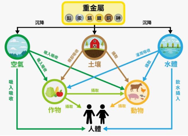 重金属污染土壤修复的土壤淋洗设备,土壤破碎