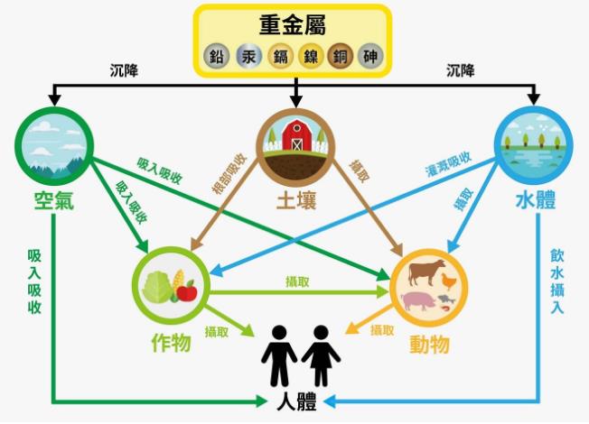 重金属污染主要途径