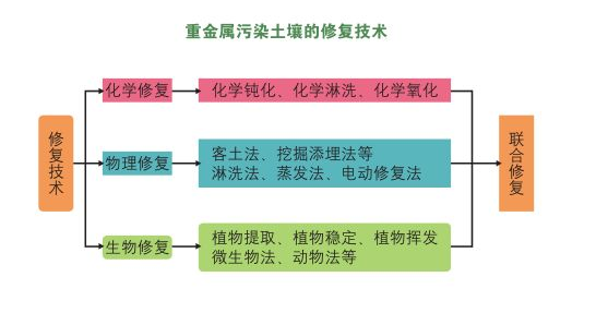 重金属污染土壤修复技术