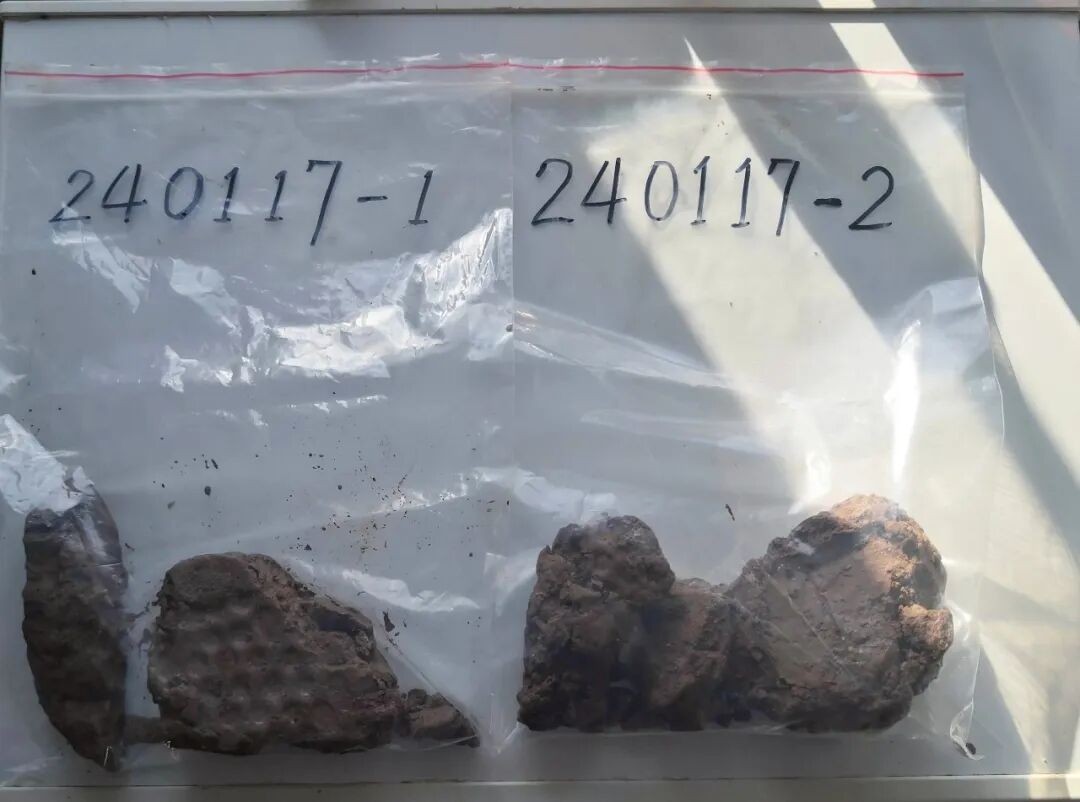 土壤样本