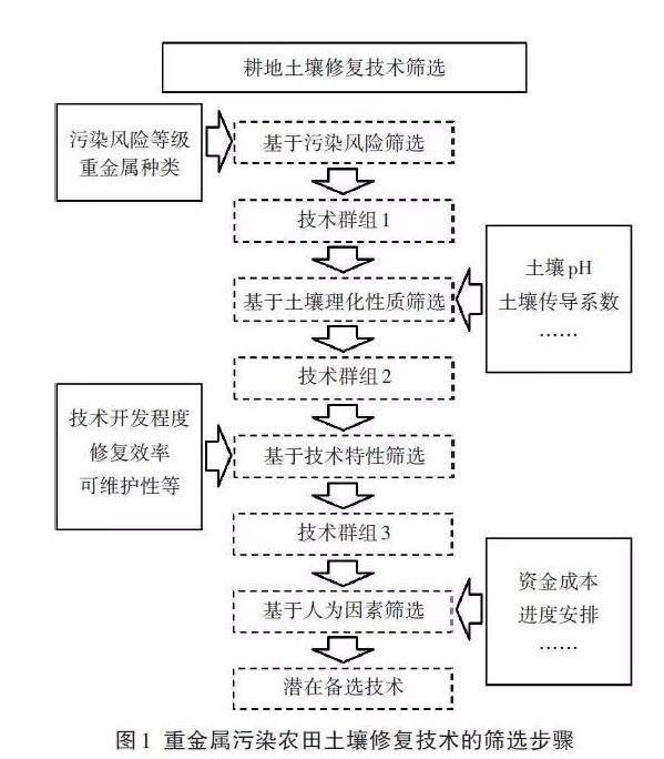 农田重金属污染土壤修复技术